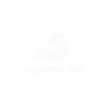 Argentum Noir - Home